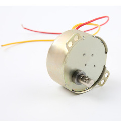 Synchronous Motor-49TYJ-H250