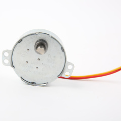 Synchronous Motor-49TYJ-B328