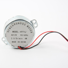 DC Synchronous Motor 49TYJ-AC/DC