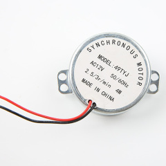 DC Synchronous Motor 49TYJ-AC/DC