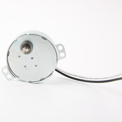 Synchronous Motor-49TYJ-B262