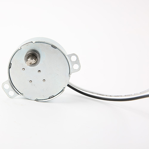 Synchronous Motor-49TYJ-B262