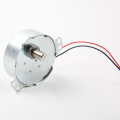 DC Synchronous Motor 49TYJ-AC/DC