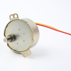 Synchronous Motor-49TYJ-H423