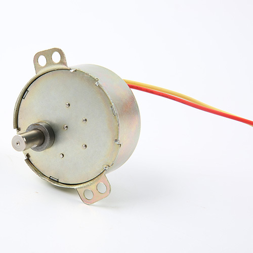 Synchronous Motor-49TYJ-H423