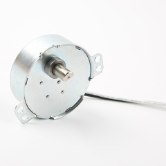 Synchronous Motor-49TYJ-B262