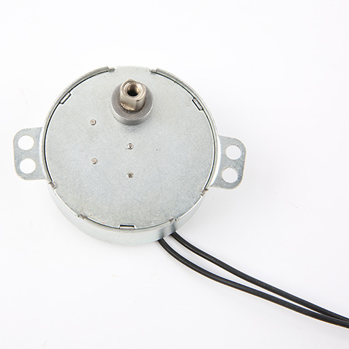 Synchronous Motor-49TYJ-B384