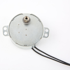 Synchronous Motor-49TYJ-B384