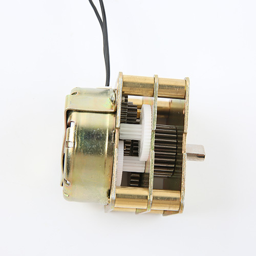 Directional Synchronous Motor-49T0401