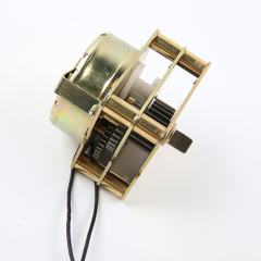 Directional Synchronous Motor-49T0401