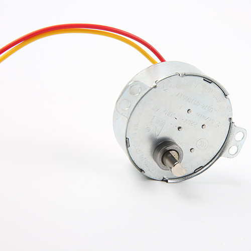 Synchronous Motor-49TYJ-B328