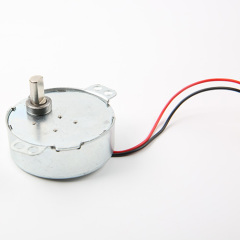DC Synchronous Motor 49TYJ-AC/DC