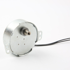 Synchronous Motor-49TYJ-B384