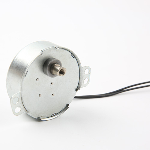Synchronous Motor-49TYJ-B384