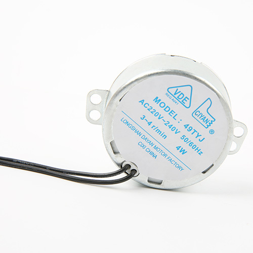 Synchronous Motor-49TYJ-B384