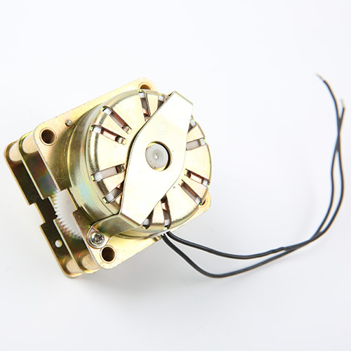 Directional Synchronous Motor-49T0401