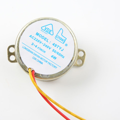 Synchronous Motor-49TYJ-H250