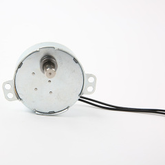 Synchronmotor-49TYJ-B217