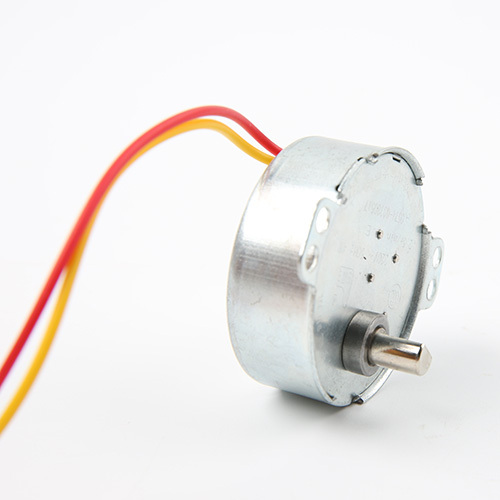 Synchronous Motor-49TYJ-B328