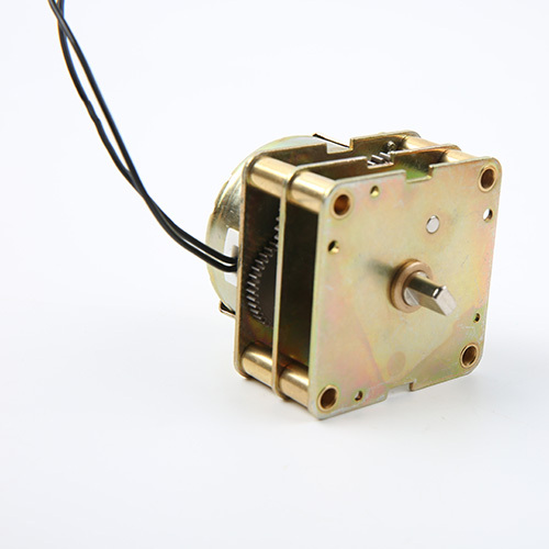 Directional Synchronous Motor-49T0401