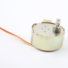 Synchronous Motor-49TYJ-H423