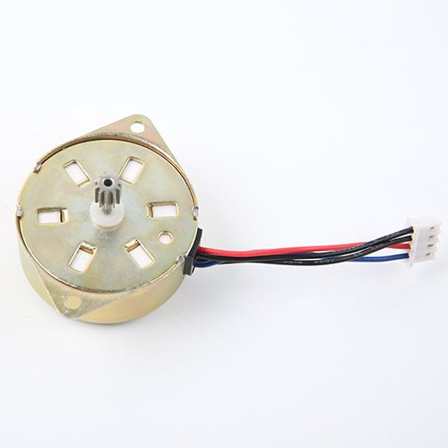 Reversible Synchronous Motor-43TYD