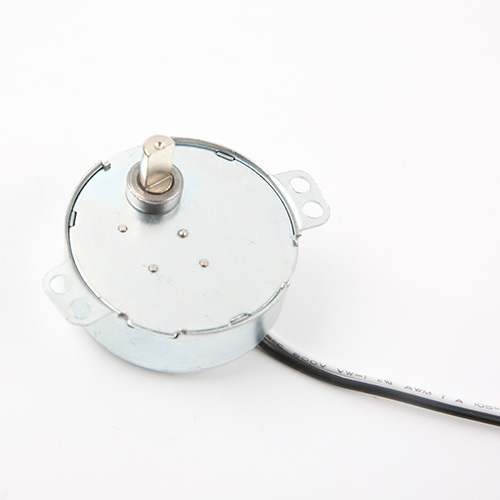 Synchronous Motor-49TYJ-B262