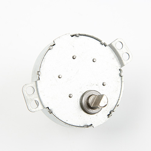 DC Gear Motor-49TYJ-DC