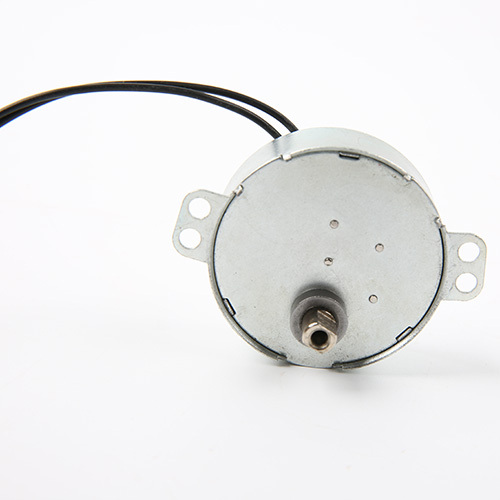 Synchronous Motor-49TYJ-B384
