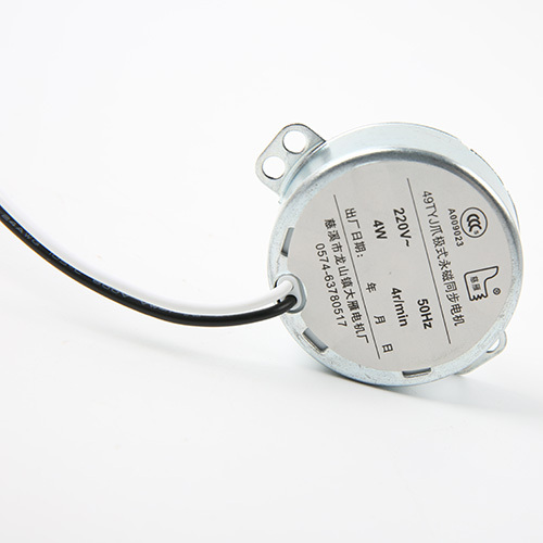 Synchronous Motor-49TYJ-B262