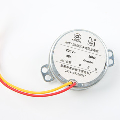 Synchronous Motor-49TYJ-B328