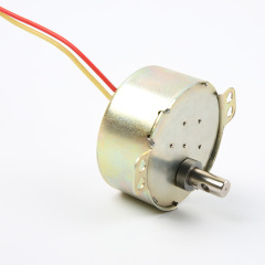 Synchronous Motor-49TYJ-H423