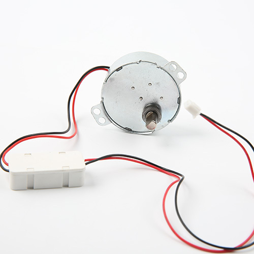 DC Synchronous Motor 49TYJ-AC/DC
