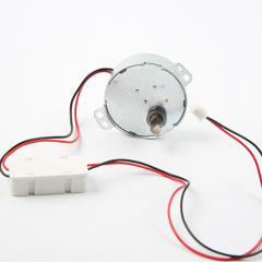 DC Synchronous Motor 49TYJ-AC/DC