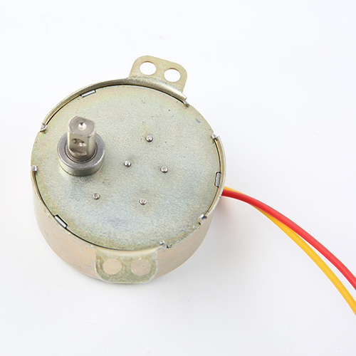 Synchronous Motor-49TYJ-H250