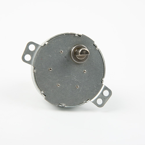 DC Gear Motor-49TYJ-DC