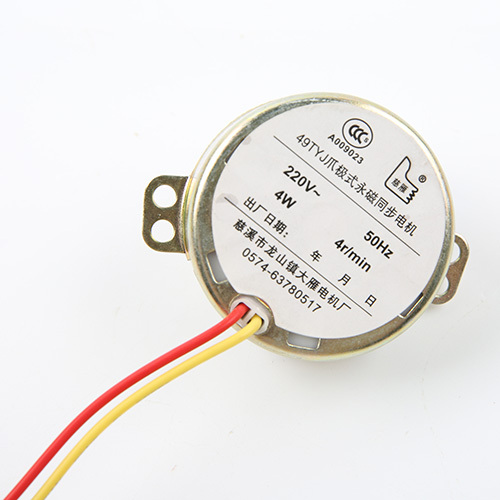 Synchronous Motor-49TYJ-H279