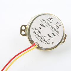 Synchronous Motor-49TYJ-H279
