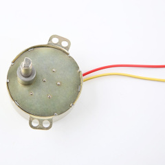 Synchronous Motor-49TYJ-H279
