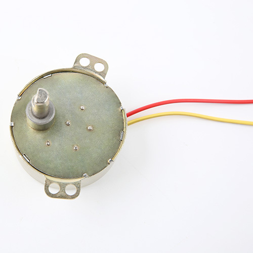 Synchronous Motor-49TYJ-H279
