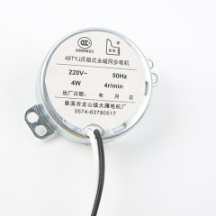 Synchronous Motor-49TYJ-B262