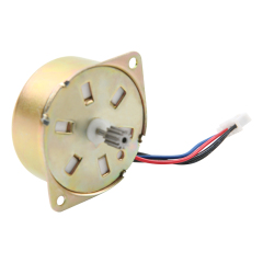 Reversible Synchronous Motor-43TYD