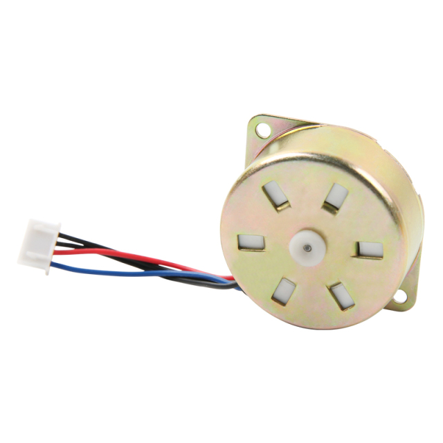 Reversible Synchronous Motor-43TYD