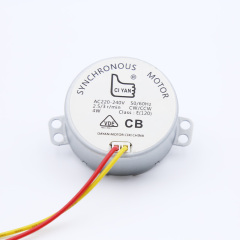 Synchronmotor 49TYJ-C223