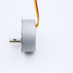 Synchronmotor 49TYJ-C223