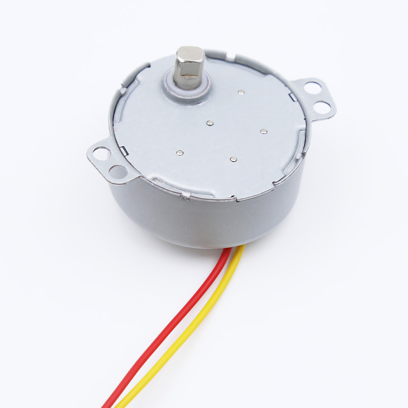 Synchronous motor 49TYJ-C506