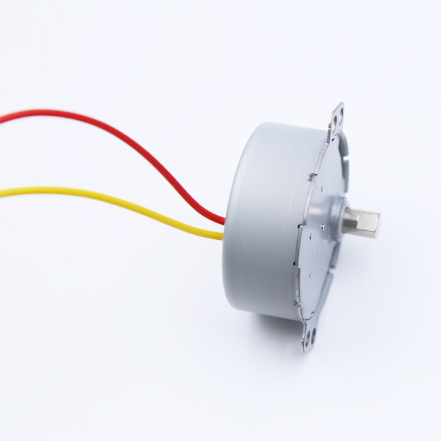 Synchronous motor 49TYJ-C506