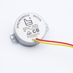 Synchronous motor 49TYJ-C506