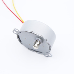 Synchronous motor 49TYJ-C506