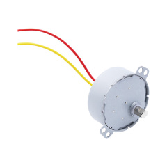 Synchronous motor 49TYJ-C506